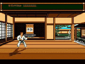 Budokan - The Martial Spirit (Europe) screen shot game playing